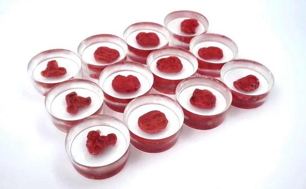 The Ouroboros Steak is a steak made out of human cells | Next Nature