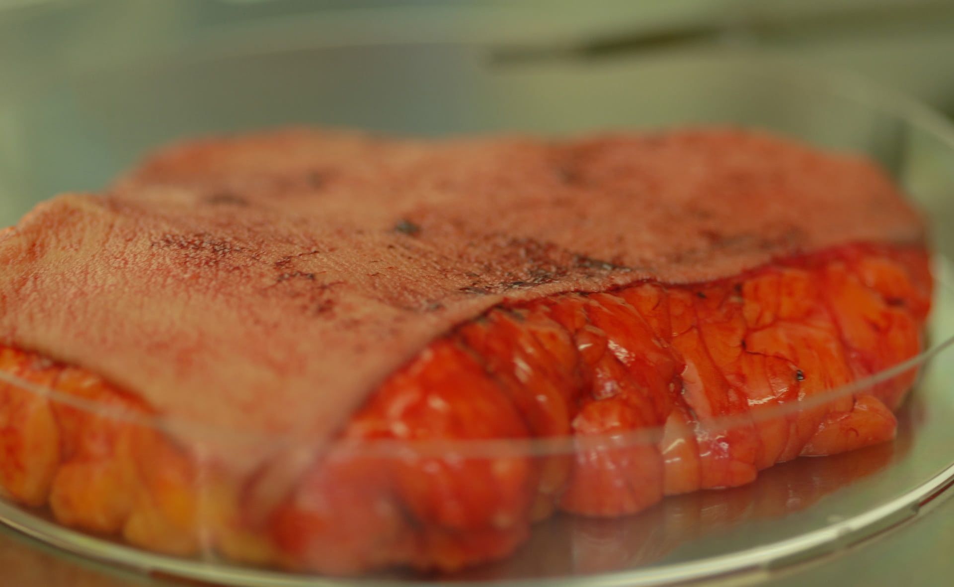 human skin leftover