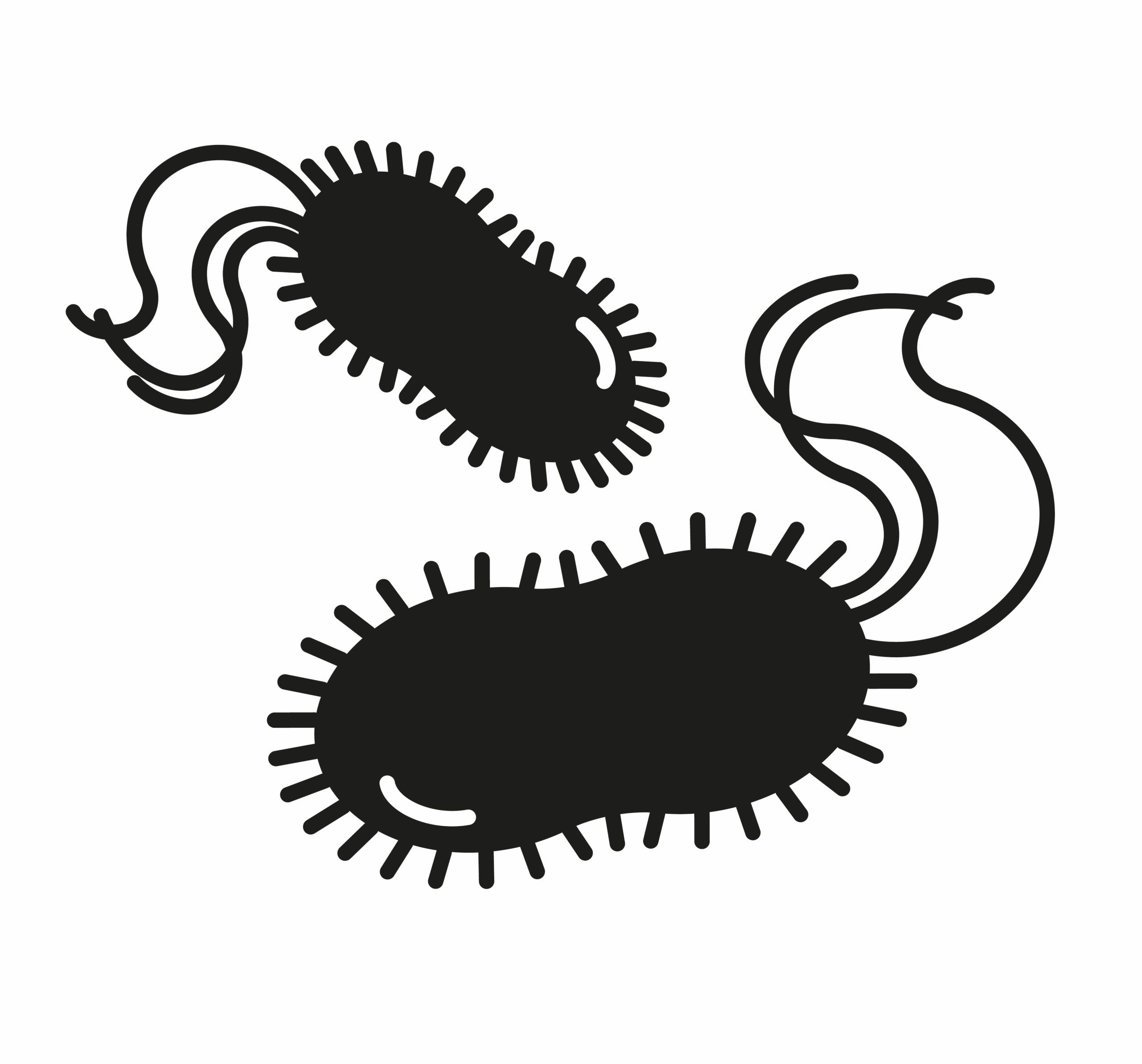 Living Factories: Bacteria, ©Biofabricate