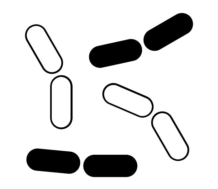 Living Factories: Yeast, ©Biofabricate