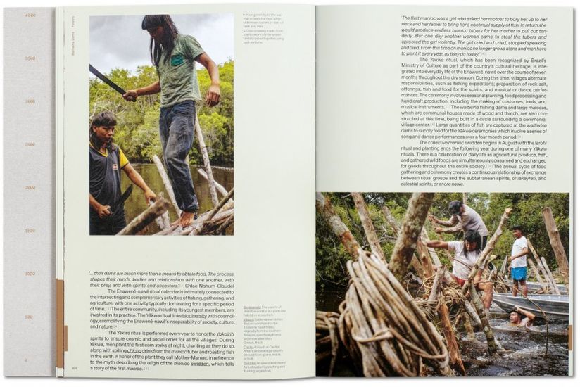 julia_watson_lo_tek_design_by_