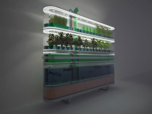 Visual of Food Design in the 21th Century