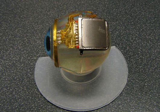 Visual of The Eye of a Cyber Sapien