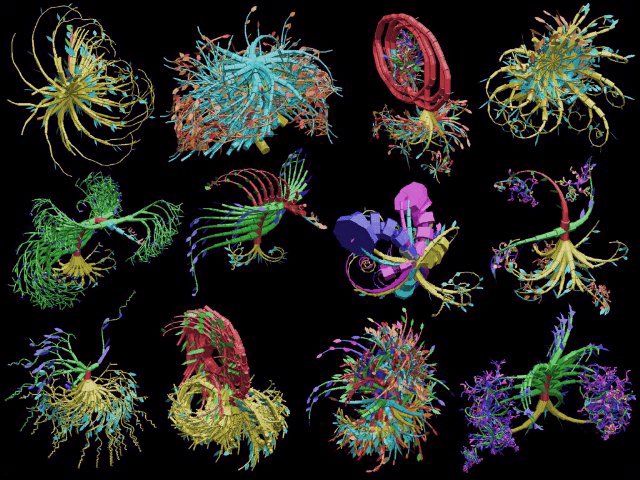 Visual of Artifice Earth: Adam Rutherford on the Promises of Synthetic Biology