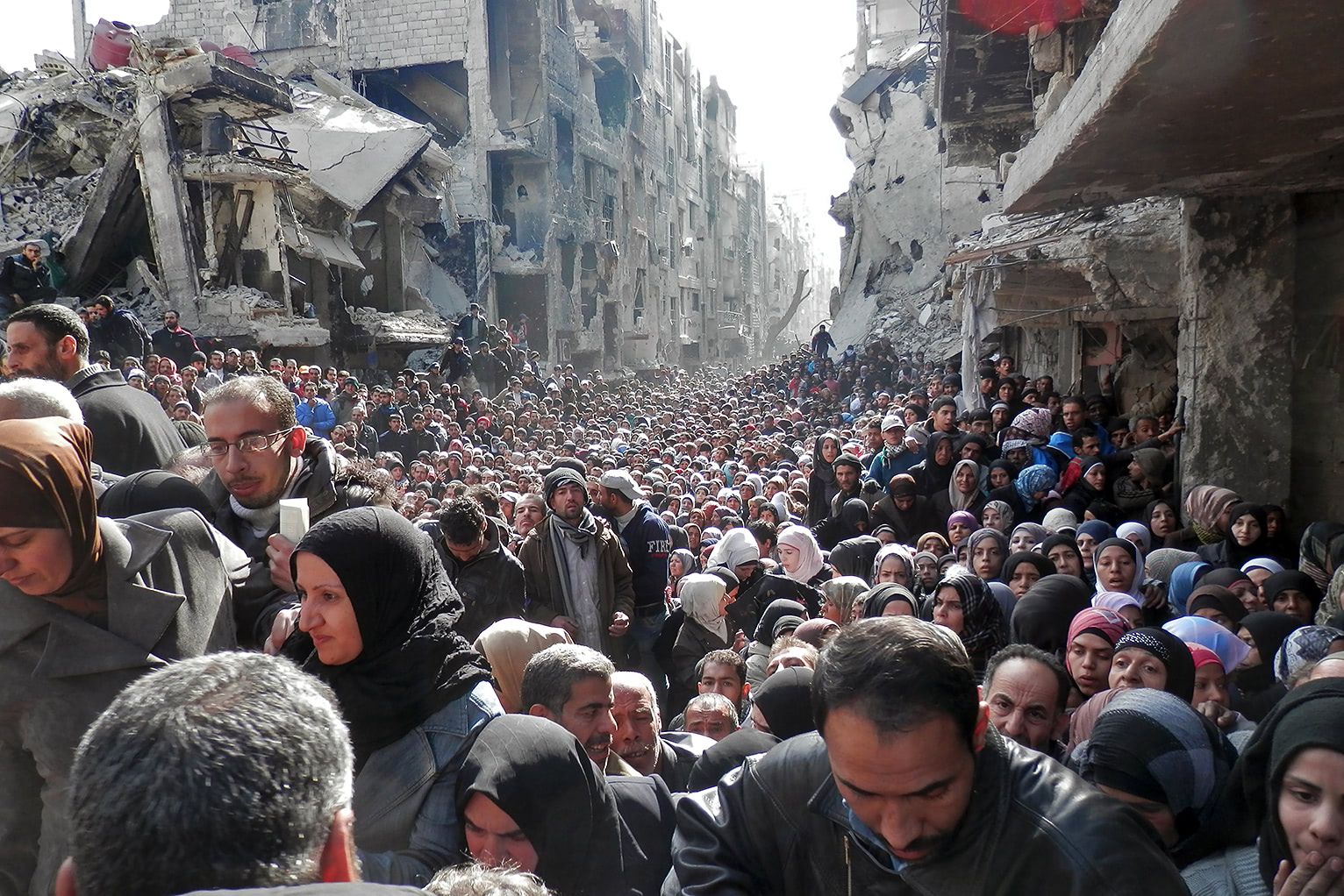 Visual of Could Biomimicry Help us Solve the Refugee Crisis?