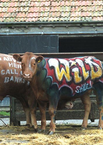 Wild Style