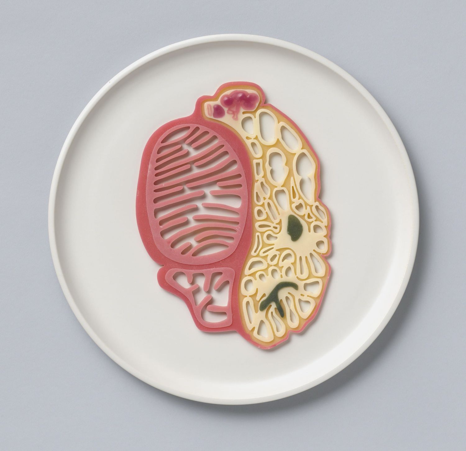 The Tissue Engineered Meat of Tomorrow