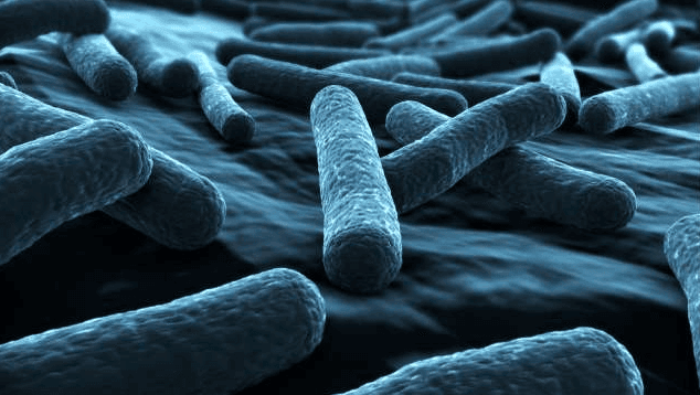 GM Bacteria Turn Carbon Dioxide into Biofuel