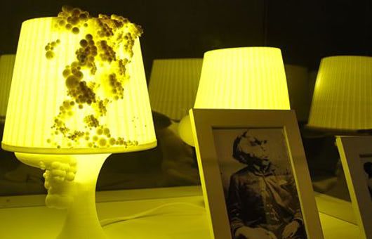 IKEA Lamp Catches Elephantiasis Virus