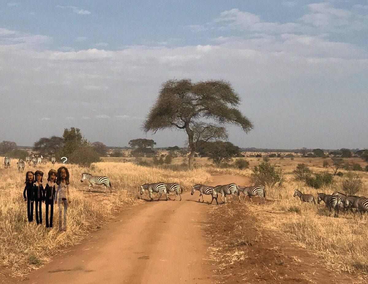 Beatles Zebra Crossing