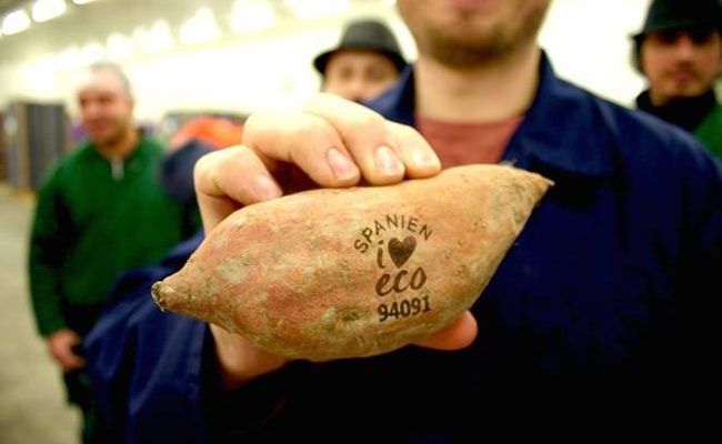 Tattooing Fruits and Veggies with Lasers