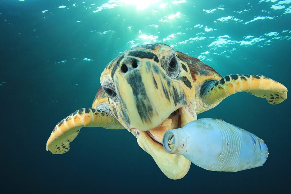 The world’s plastic problem is bigger than the ocean