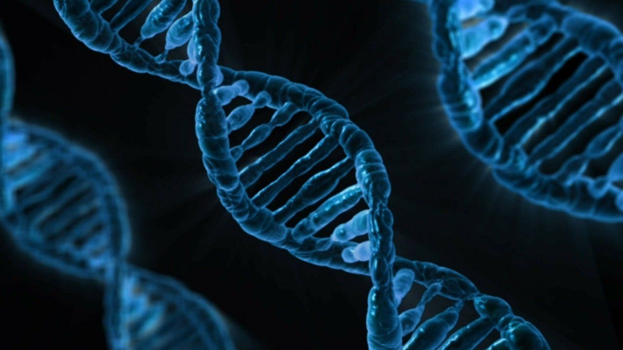 Exploring assisted evolution with Prof. Dr. John van der Oost