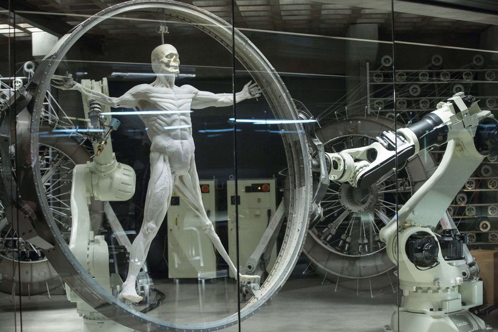 Growing artificial muscles