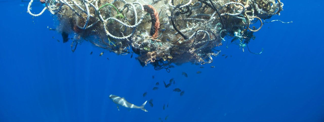 Plastic Planet