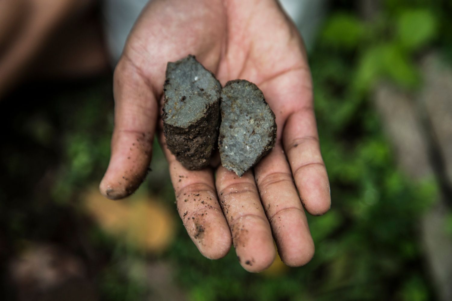 The Museum of Edible Earth