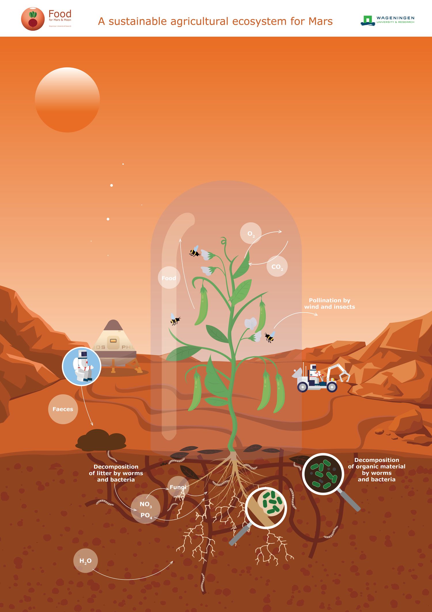 Food for Mars poster (A1)