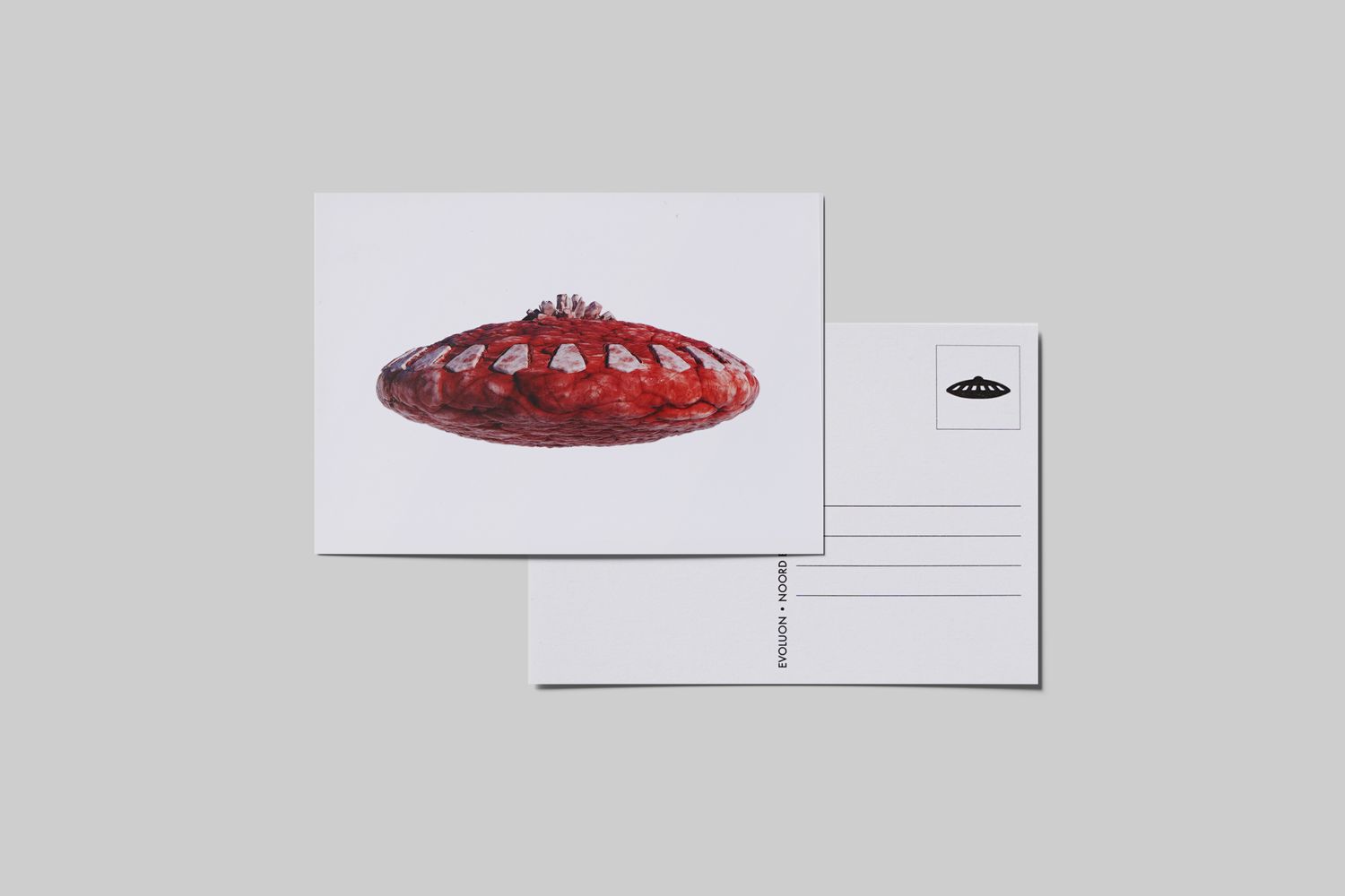 Postcard no. 3