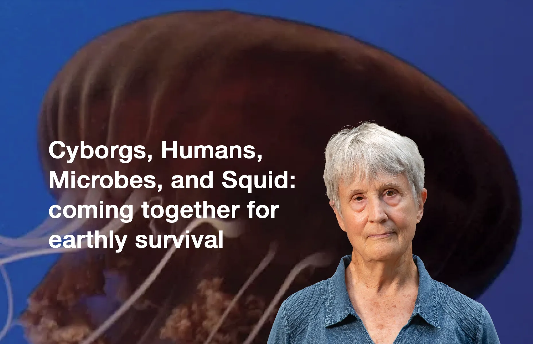 Donna Haraway