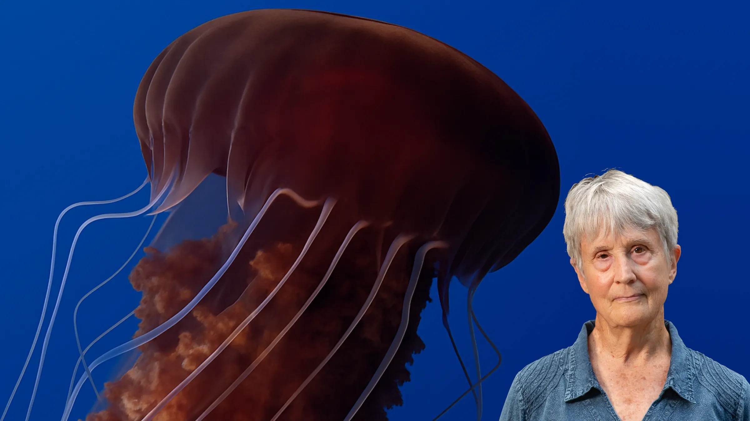 Donna Haraway SOLD OUT