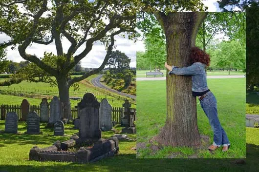 Biopresence - Human DNA Trees