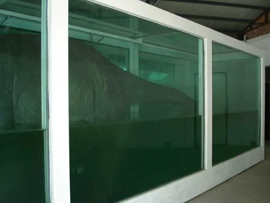 Bisected Brontosaurus in a Water-Filled Case