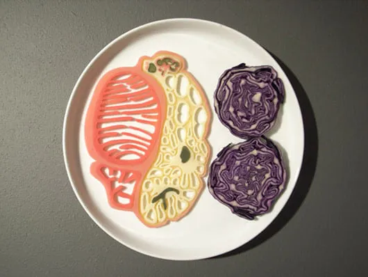 The Tissue Engineered Meat of Tomorrow