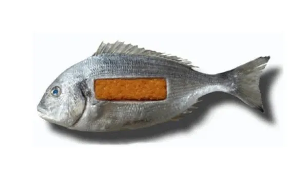 Back to Where it Came From