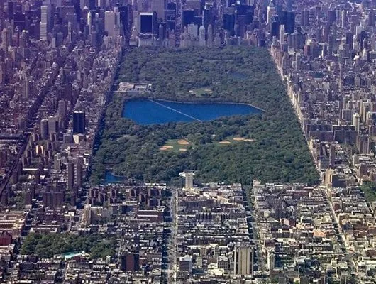 Brain Needs 'Nature'