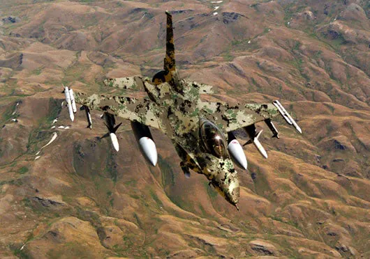 Digital Overruns Nature: Pixel Attack