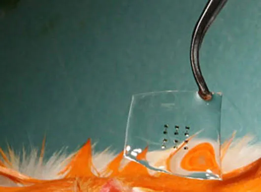 Implantable Silicon-Silk Electronics