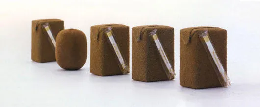 Kiwi Juice Packaging