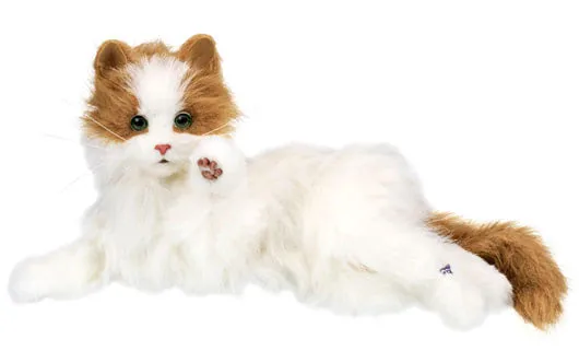 Norwegian forest cat on batteries