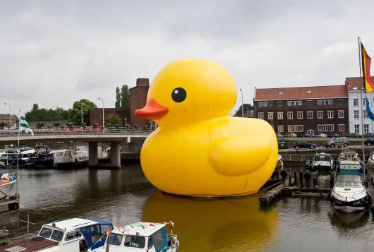 Rubber Duck XL