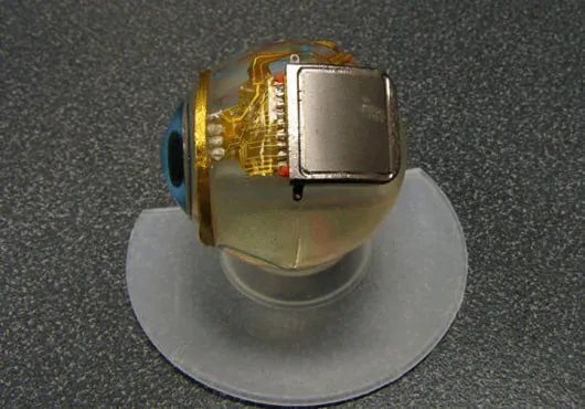 The Eye of a Cyber Sapien