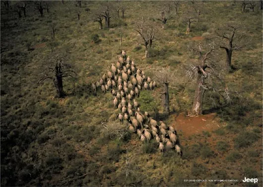 The naturalness of travelling with a Jeep