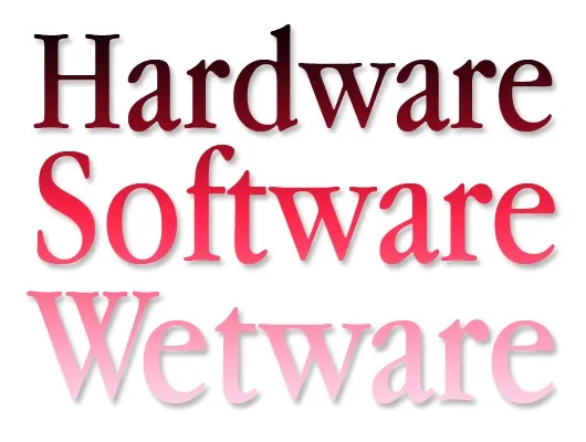 Wetware [definition]