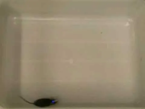 Remote Control Mouse