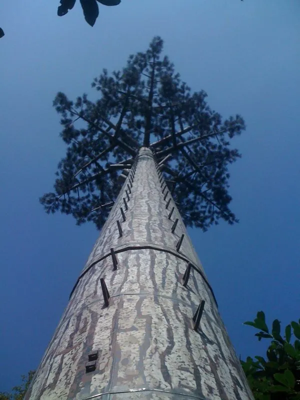 Spot of the Month: Arbor Artificialis Naturalis