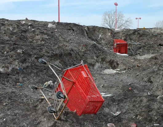 The Stray Shopping Cart Project