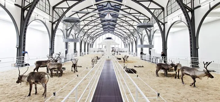 Hallucinogenic Reindeer Moments