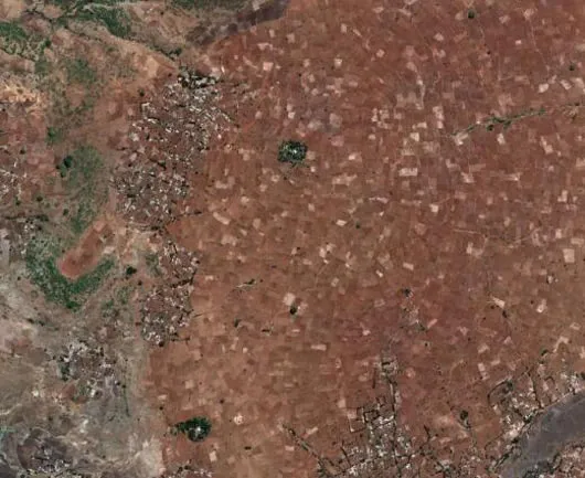 In Ethiopia, the Bible Grows a Forest