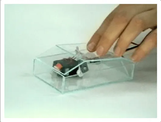 Is that a hamster in your pocket or are you just pleased to see me?