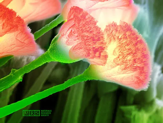 (Nano)technology imitating Nature