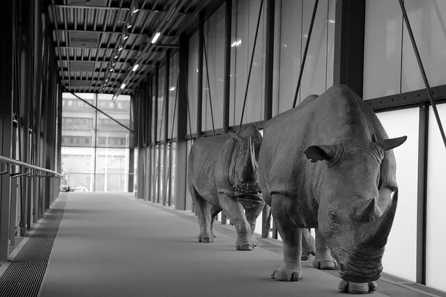 Poaching from the New Savannah