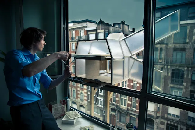 The Pigeon that Shat the Golden Soap