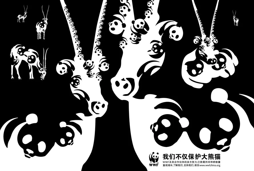 Why Do We Love Pandas?