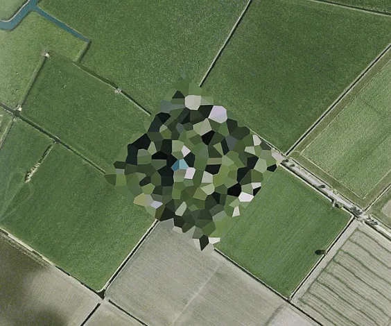 21st Century Dutch Landscapes