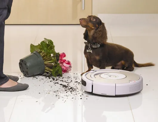 #9: Be Aware of the Ecosystem You're Invading