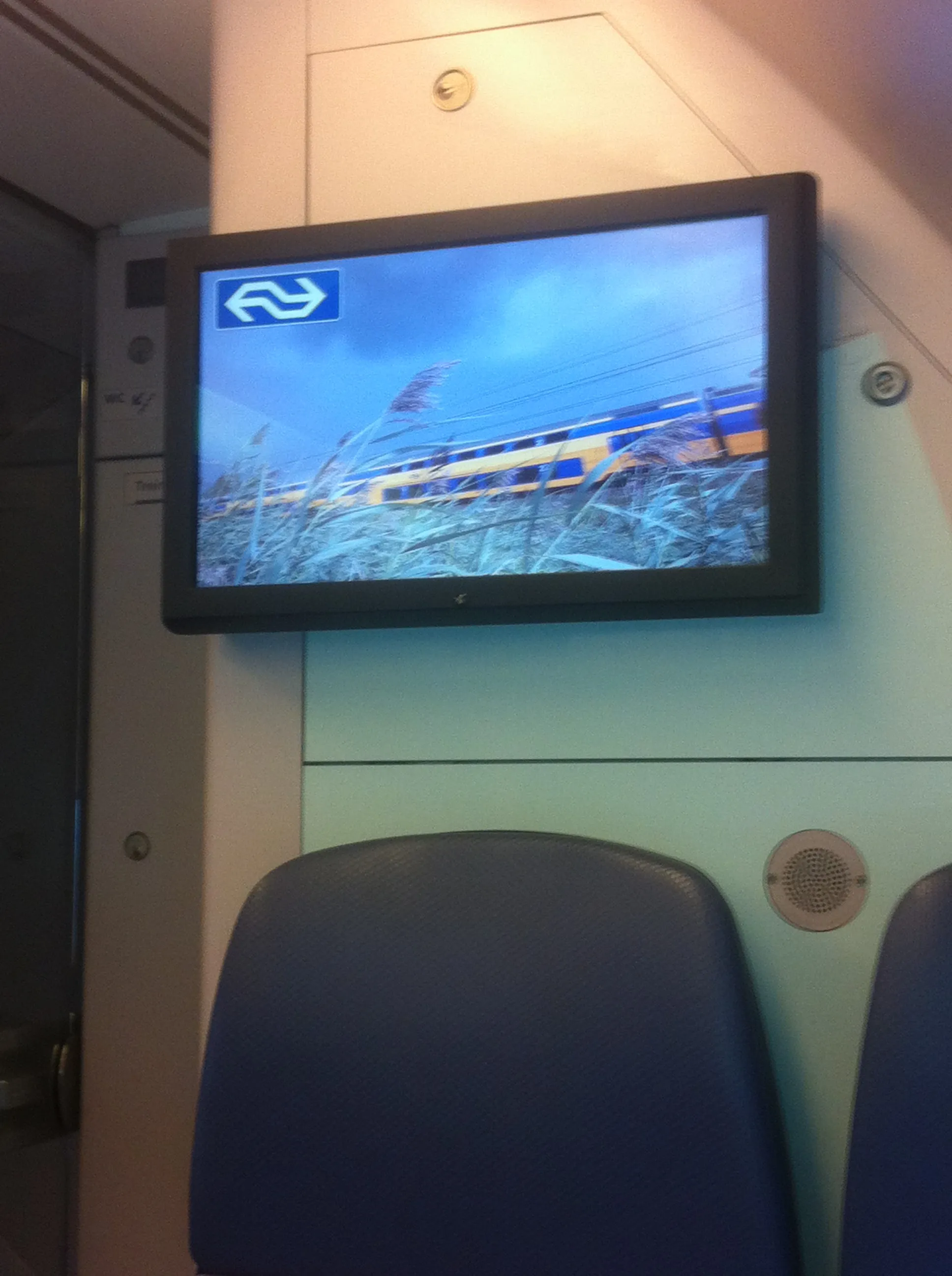 Caterpillar in the Grass